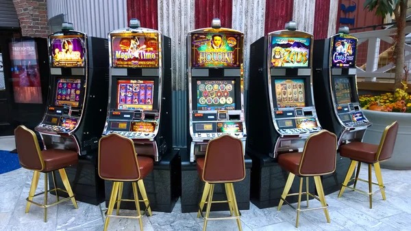 maluku4d login platform interface showing sportsbook, live dealer, and slots